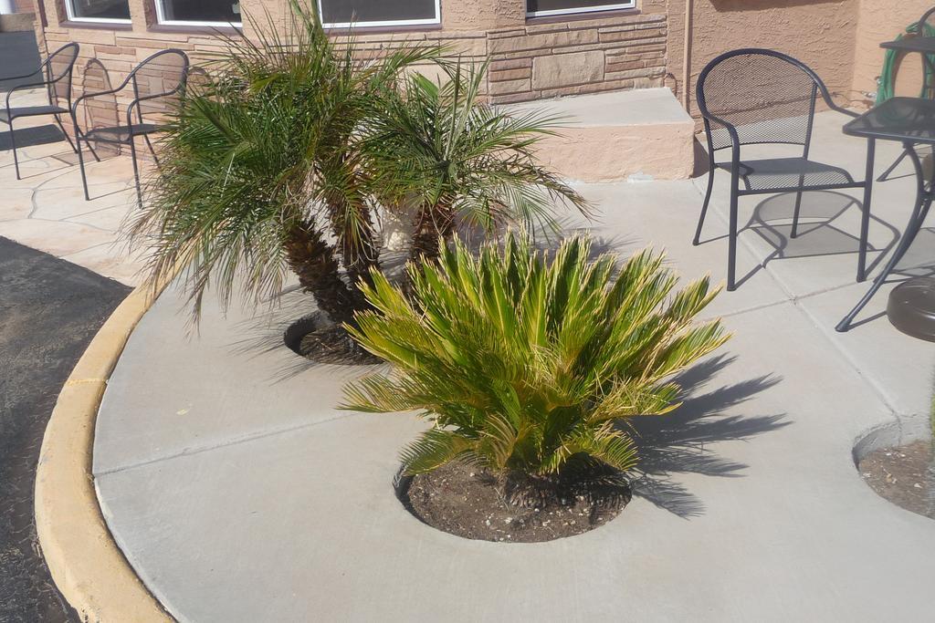Palms Inn Gila Bend Екстер'єр фото